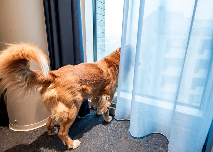 Citybox הלסינקי